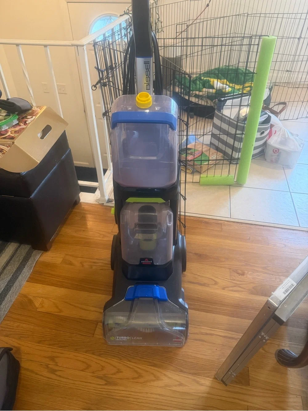 Bissell Upright Carpet Cleaner in Black with Blue and Green Accents